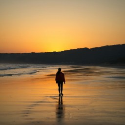 Wave 11: Solitude Is Not Loneliness