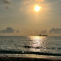 Wave 27 — The Weight of Staying