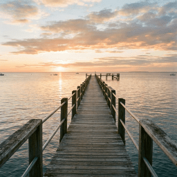 Wave 30: A Place to Feel